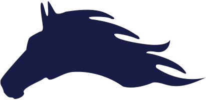 مهرناز موسوی